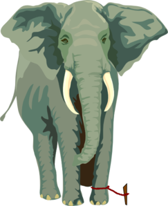 elephant-rope-constraint